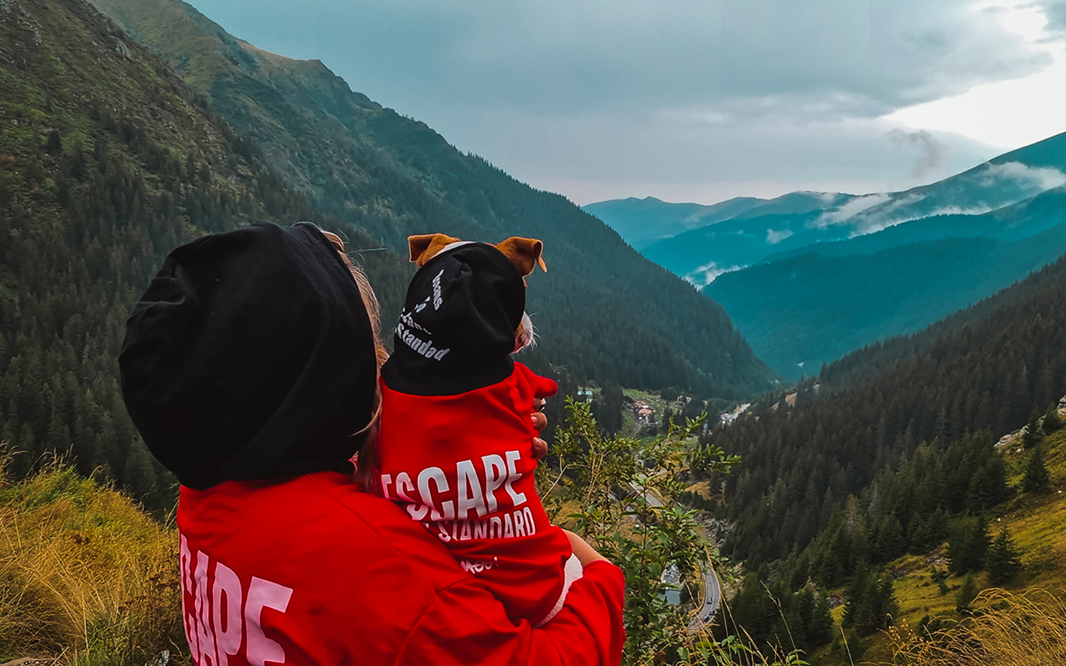 Czym właściwie jest psie wyzwanie?