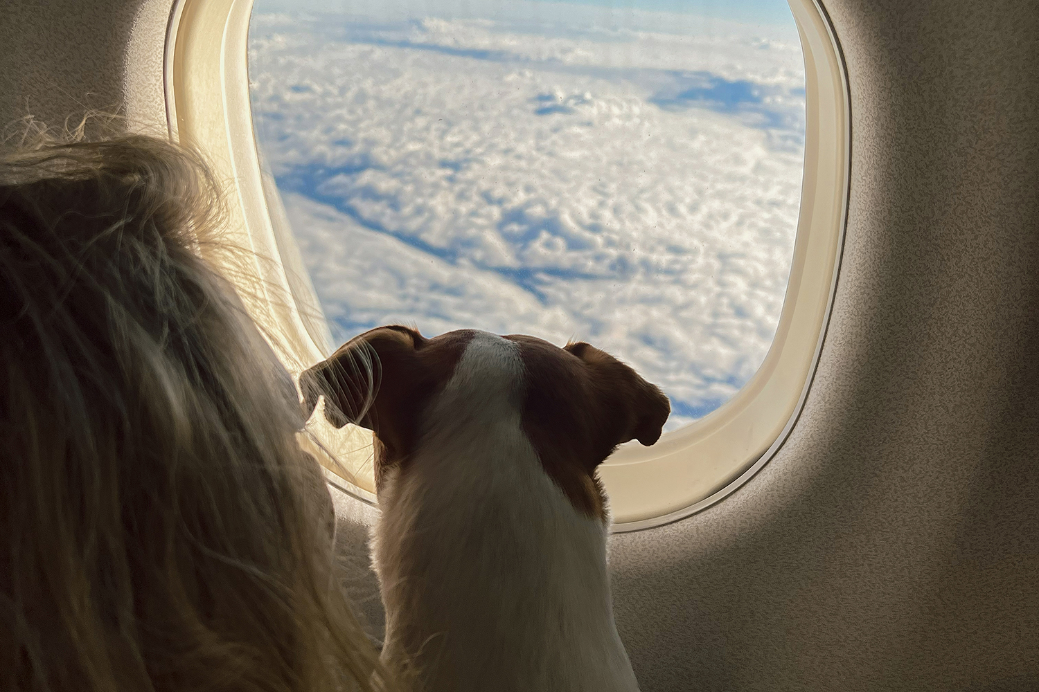 Dotychczasowe podróże Baxtera