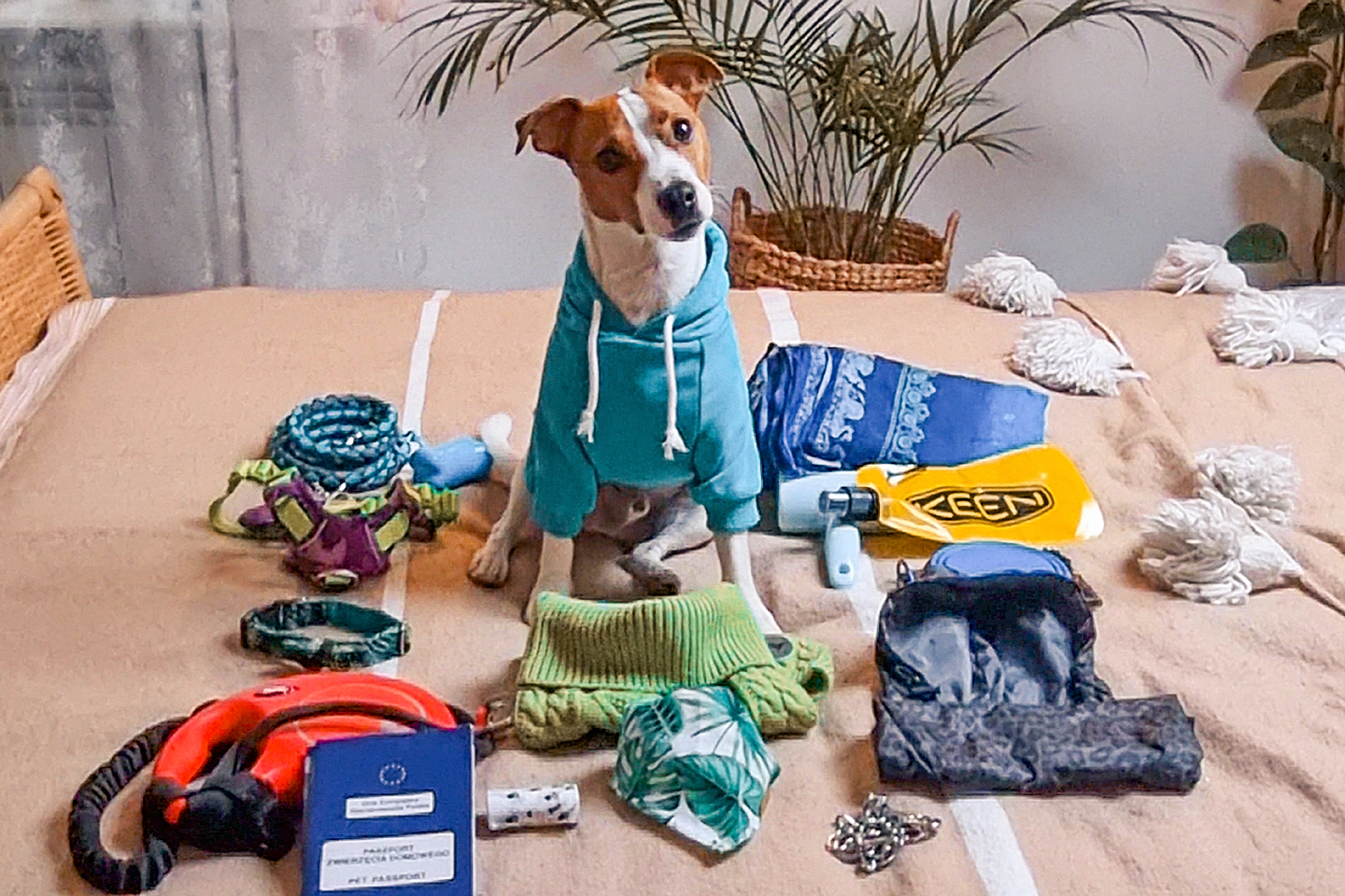 Przygotowania do wyzwania